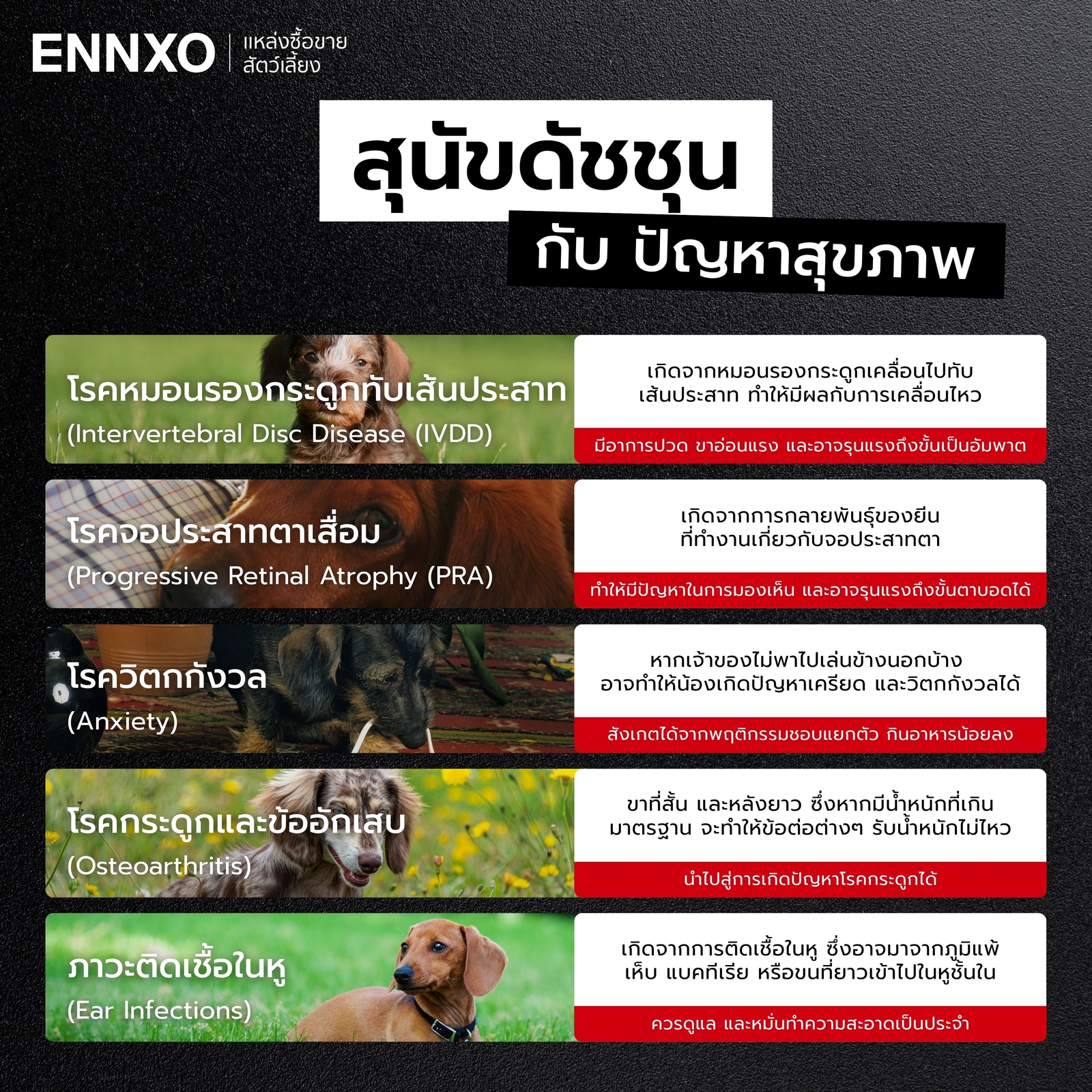 โรคที่พบบ่อยในดัชชุน