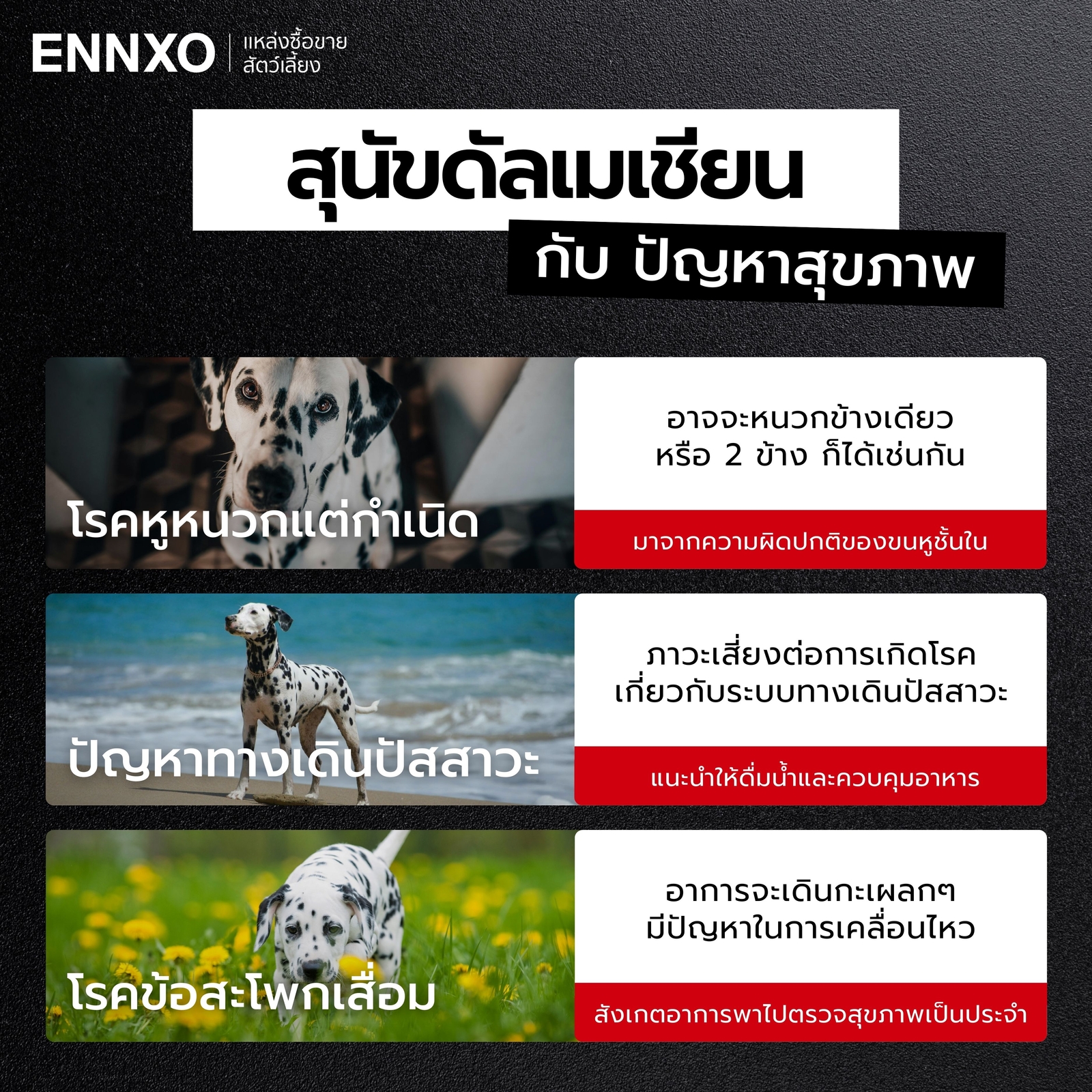 โรคประจำพันธุ์สุนัขดัลเมเชียน