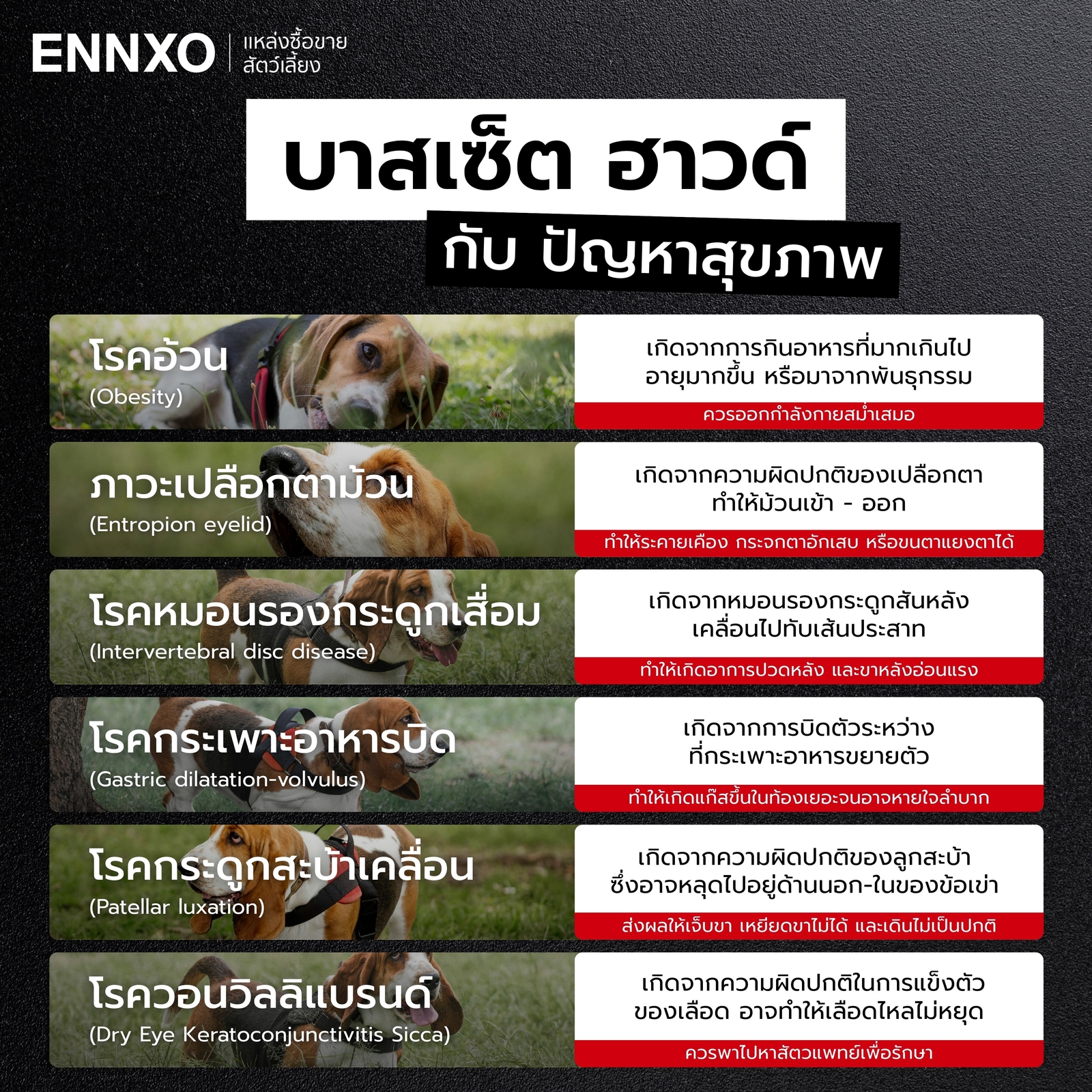 โรคประจำพันธุ์บาสเซ็ต ฮาวด์ 