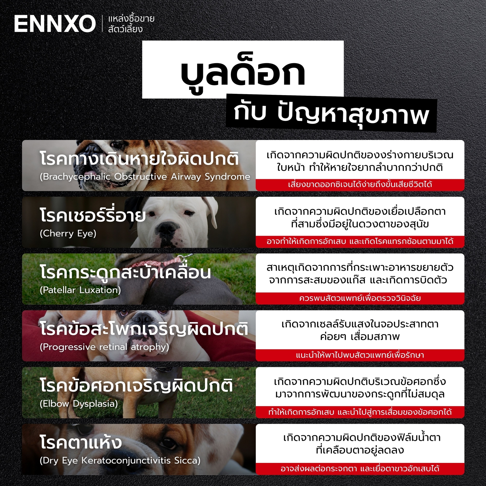 โรคที่พบในสุนัขบูลด็อก