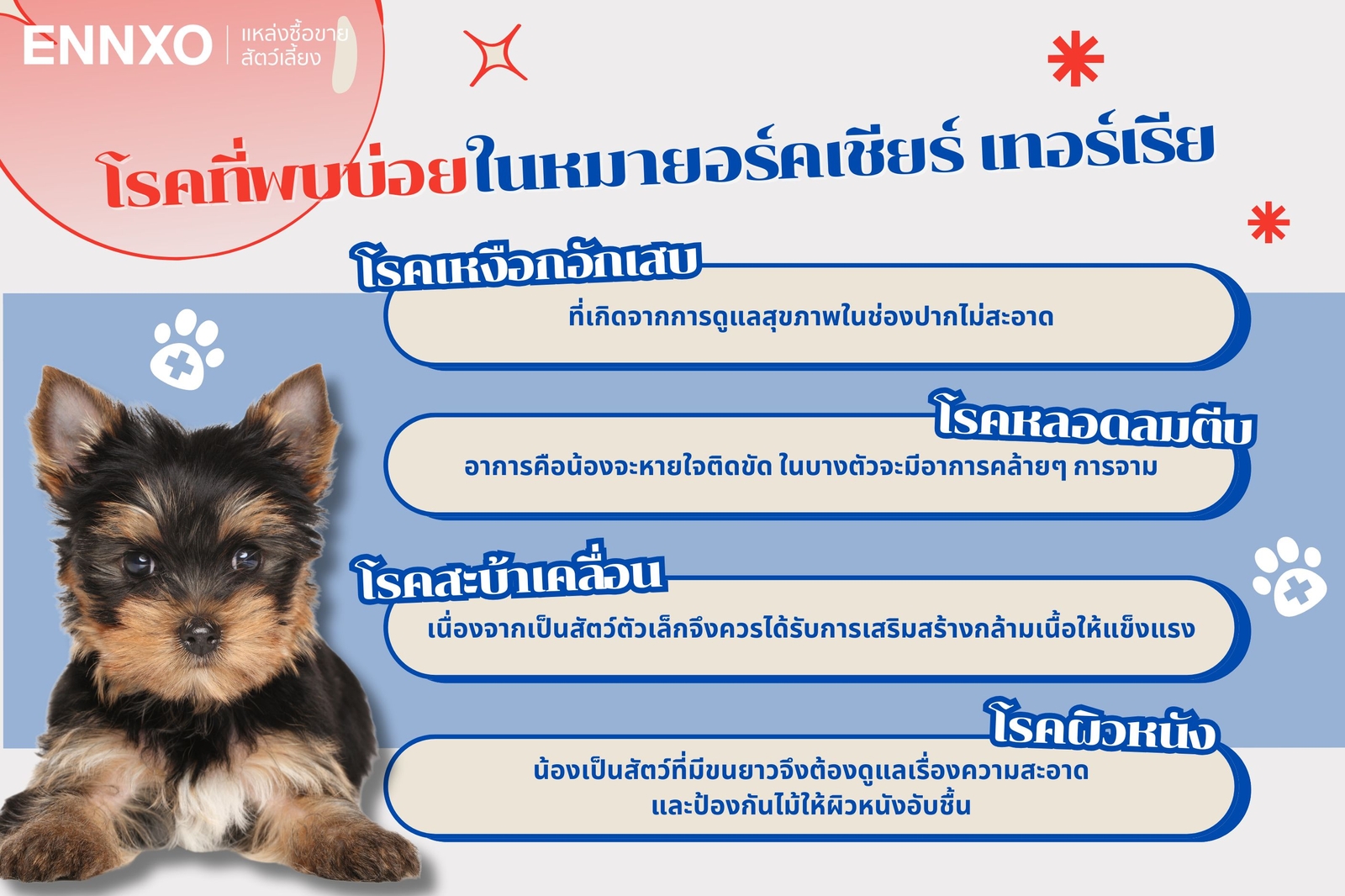 โรคที่พบบ่อยในหมายอร์คเชียร์ เทอร์เรีย