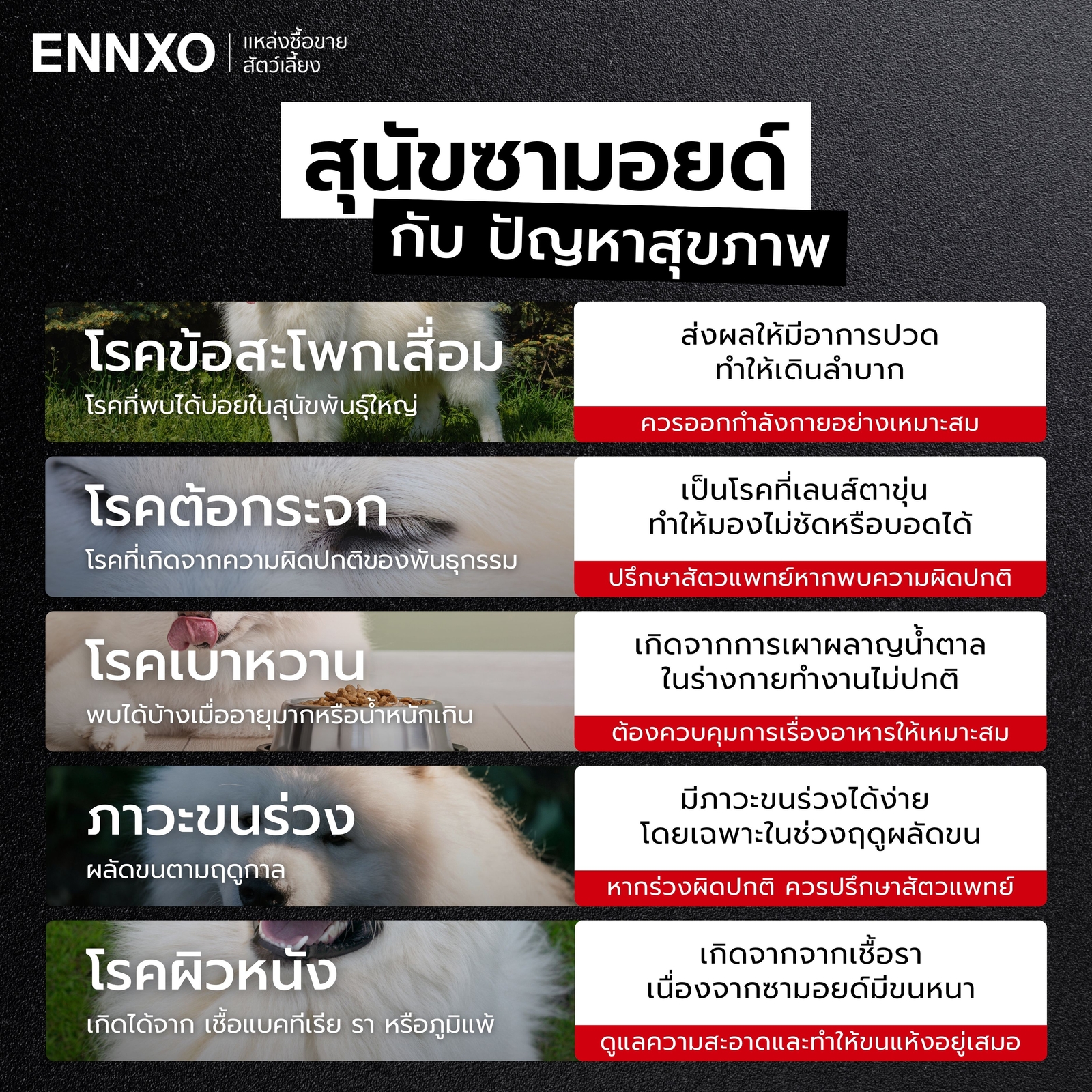 โรคที่พบในสุนัขซามอยด์