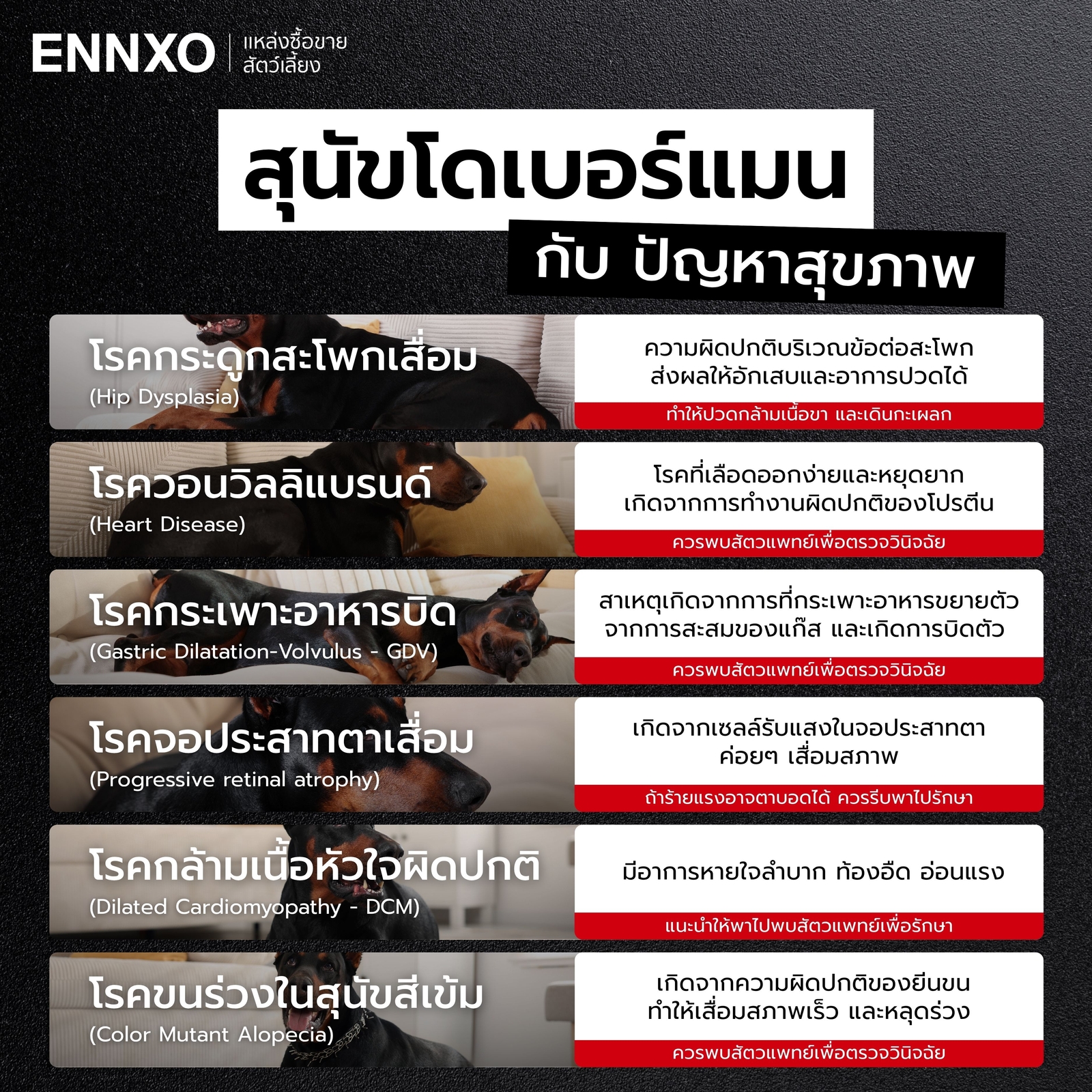 โรคที่พบบ่อยในสุนัขโดเบอร์แมน