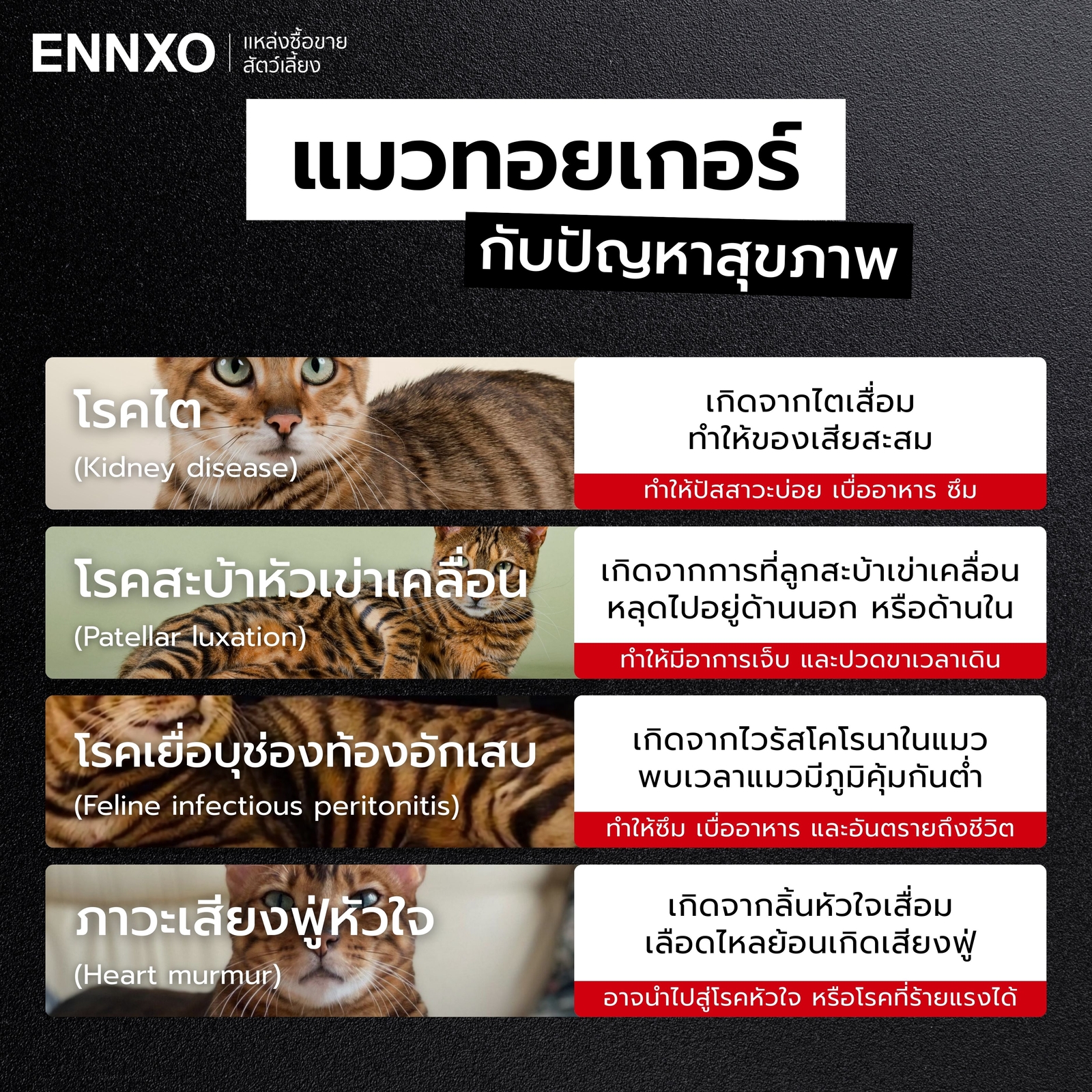 โรคประจำพันธุ์แมวทอยเกอร์