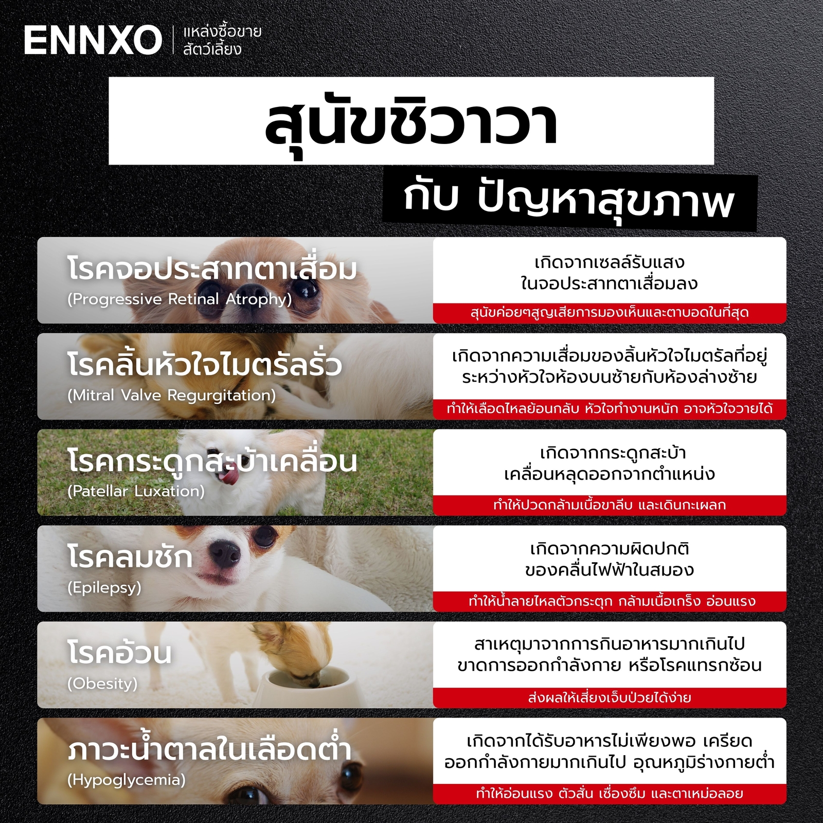 โรคที่พบบ่อยในชิวาวา