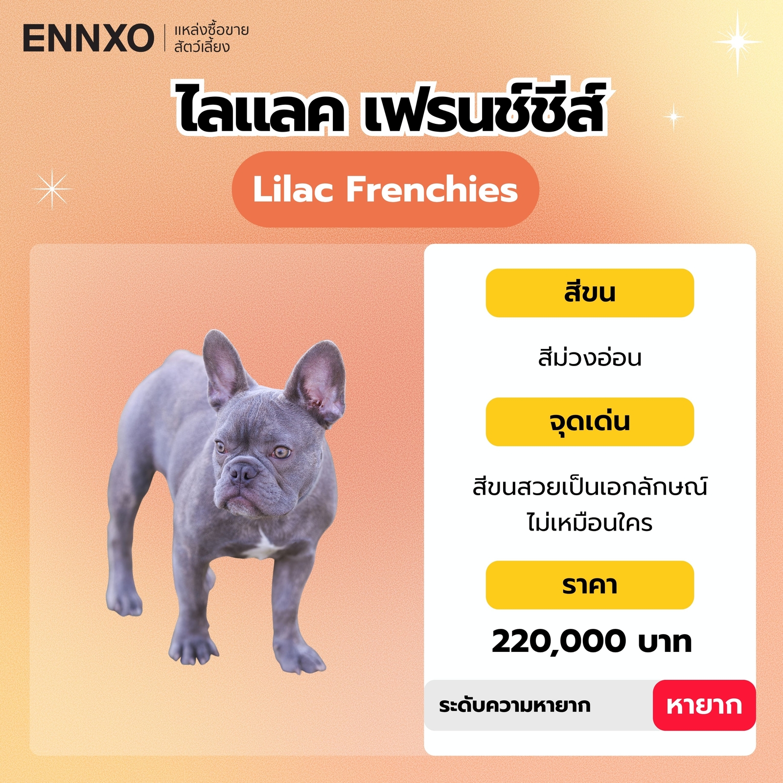 ไลแลค เฟรนช์ชีส์