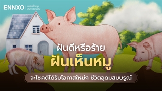 ทำนายฝัน ฝันเห็นหมู ตีเป็นเลขอะไรได้บ้าง รับเลขเด็ดได้โชค