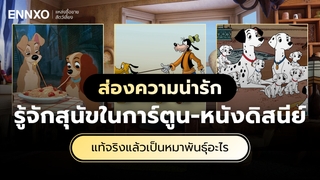 ชื่อสุนัขในหนัง-การ์ตูนดิสนีย์ มีหมาสายพันธุ์อะไรบ้าง