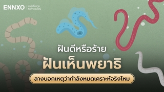 รวมทำนายฝันเห็นพยาธิ พร้อมเลขเด็ดและความหมายว่าดีหรือไม่