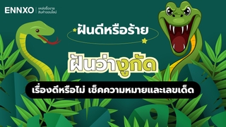ฝันว่างูกัด เรื่องดีหรือร้าย อ่านคำทำนาย พร้อมตีเลขเด็ด