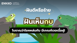 ฝันเห็บกบ ลางดีนำโชค เช็คทำนายฝันตีความหมายกบ แทนด้วยเลขอะไร