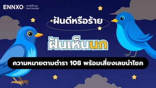ฝันเห็นนก หมายถึงอะไร ตีเป็นเลขเด็ดแม่นๆ รวมทำนายฝันเห็นนก 