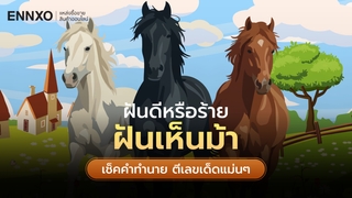 ฝันเห็นม้า หมายถึงอะไร เรื่องดีหรือไม่ อ่านคำทำนายพร้อมเลขเด็ด