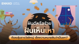 ฝันเห็นเหา ตีเป็นเลขเด็ดอะไร ดูความหมายฝันว่าเป็นเหาดีไหม