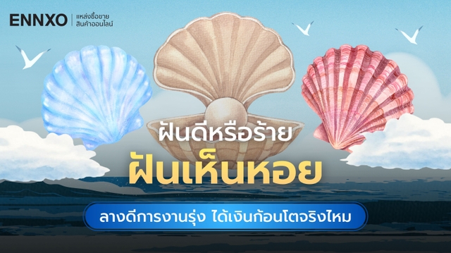 ทำนายฝันเห็นหอยเยอะมาก ตีเป็นเลขเด็ดอะไรได้บ้าง 