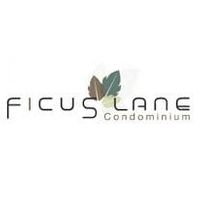 Ficus Lane
(ไฟคัส เลน)