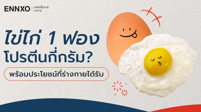 ไข่ไก่ 1 ฟอง มีโปรตีน กี่กรัม? สรุปครบทุกเบอร์ พร้อมประโยชน์