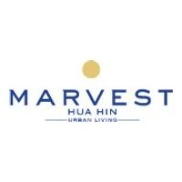 Marvest Hua Hin
(มาร์เวสท์ หัวหิน)
