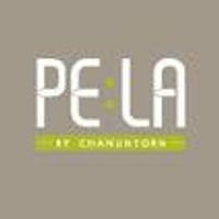 Pela Wutthakat
(เพลา วุฒากาศ)