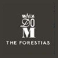 Whizdom The Forestias
(วิสซ์ดอม เดอะ ฟอเรสเทียส์)