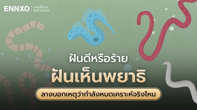 รวมทำนายฝันเห็นพยาธิ พร้อมเลขเด็ดและความหมายว่าดีหรือไม่