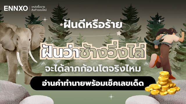 ฝันว่าช้างวิ่งไล่ ตีเป็นเลขอะไร อ่านคำทำนายฝันพร้อมเลขเด็ด