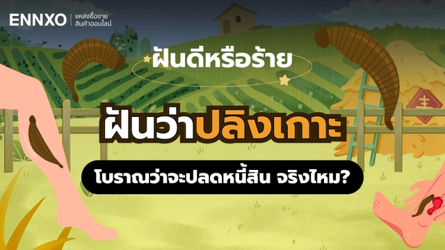 ฝันว่าปลิงเกาะ หมายความว่าอะไร ทำนายฝันปลิง ตีเลขเด็ดนำโชค