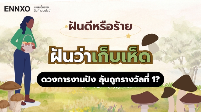 ฝันว่าได้เก็บเห็ด ทำนายฝันหมายความว่าอะไร ตีเลขเห็ดเด็ดๆ ลุ้นรางวัล