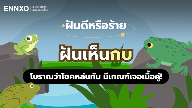 ฝันเห็บกบ ลางดีนำโชค เช็คทำนายฝันตีความหมายกบ แทนด้วยเลขอะไร