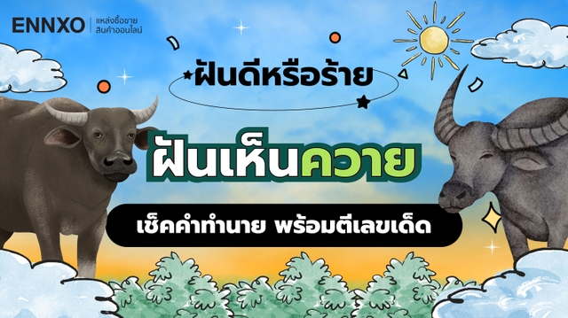 ฝันเห็นควาย เรื่องดี หรือร้าย อ่านคำทำนายฝัน ตีเลขเด็ดแม่นๆ 