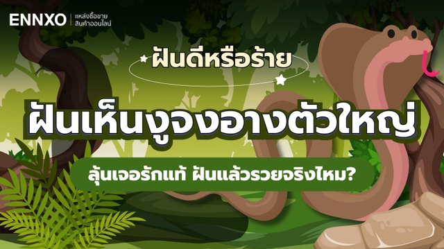 ฝันเห็นงูจงอางตัวใหญ่ หมายถึงอะไร งูจงอางแปลว่าอะไร พร้อมตีเลขเด็ด
