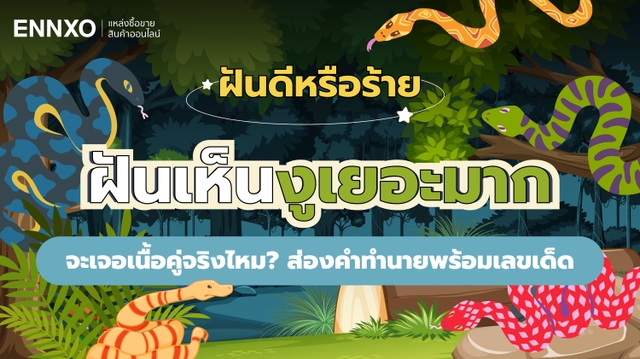 ฝันเห็นงูเยอะมาก งูเต็มไปหมด หมายความว่าอะไร พร้อมเลขเด็ดนำโชค