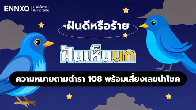 ฝันเห็นนก หมายถึงอะไร ตีเป็นเลขเด็ดแม่นๆ รวมทำนายฝันเห็นนก 