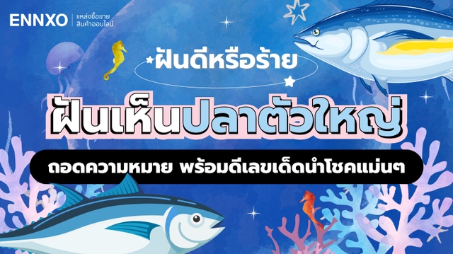 ฝันเห็นปลาตัวใหญ่ ฝันแบบนี้ดีหรือไม่ ถอดความหมาย พร้อมตีเลขเด็ด