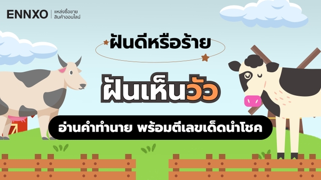 ฝันเห็นวัว เรื่องดีหรือร้าย มีความหมายว่าอะไร ตีเป็นเลขอะไรได้บ้าง