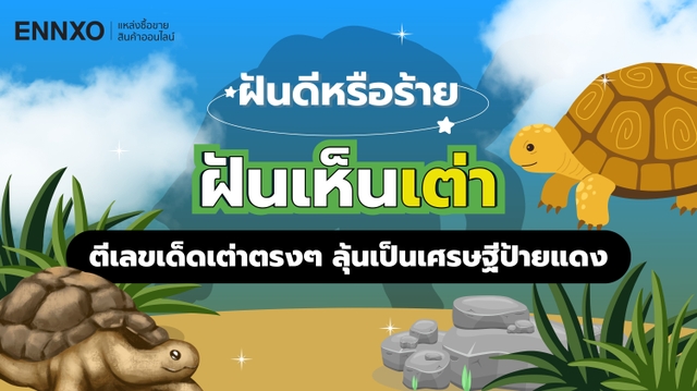 ฝันเห็นเต่า หมายถึงอะไร ตีเลขเด็ดเต่าตัวใหญ่ เตรียมถูกรางวัลที่ 1