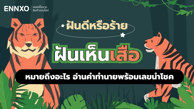 ฝันเห็นเสือดีไหม ฝันเห็นเสือหลายตัวตีเป็นเลขอะไร ทำนายฝันแม่นๆ