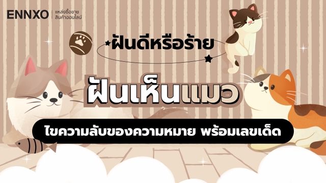 ฝันเห็นแมวซื้อเลขอะไรดี พร้อมเช็คความหมายความฝันเห็นแมว