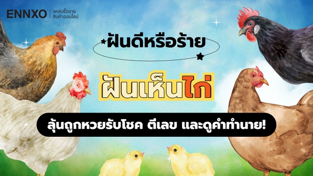ฝันเห็นไก่ แปลความหมาย ตีเลขเด็ดไก่ตัวใหญ่ ถูกรางวัลที่ 1 ไหม?