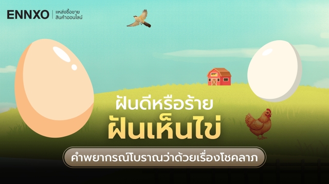 ฝันเห็นไข่ ทำนายฝันว่าอะไร ตีเลขเด็ด เลข 3 ตัวแม่นๆ ฝันเห็นไข่