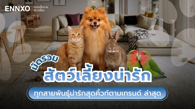 สัตว์เลี้ยงน่ารัก 10 ชนิด ตัวเล็กเลี้ยงในบ้าน แปลกๆ ล่าสุด