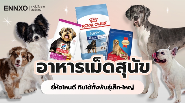 อาหารเม็ดสุนัข ยี่ห้อไหนดี 2025 อาหารหมาเกรดพรีเมียม กินได้ทั้งหมาพันธุ์เล็ก-ใหญ่