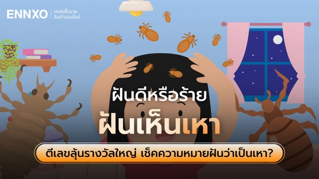 ฝันเห็นเหา ตีเป็นเลขเด็ดอะไร ดูความหมายฝันว่าเป็นเหาดีไหม