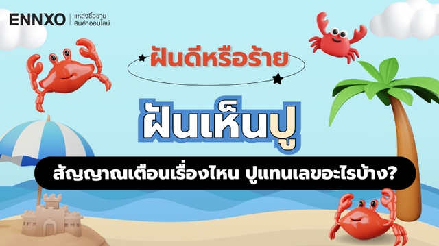 ฝันเห็นปู หมายถึงอะไร รวมเลขเด็ดฝันเห็นปูแม่นๆ ตีเลขทำนายฝันฟรี