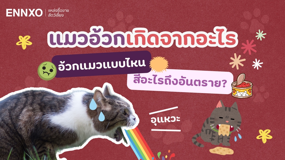 แมวอ้วกเกิดจากสาเหตุไหนบ้าง อ้วกแมวแบบไหนสีอะไรถึงอันตราย