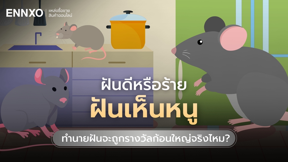 ฝันเห็นหนู เลขเด็ดแม่นๆ ทำนายฝันดี มีลุ้นถูกรางวัลสูง