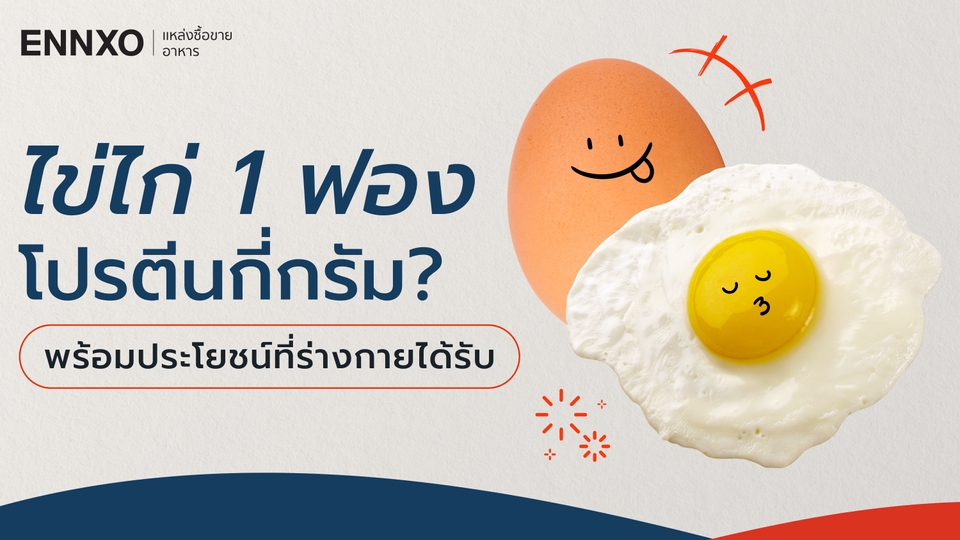 ไข่ไก่ 1 ฟอง มีโปรตีน กี่กรัม? สรุปครบทุกเบอร์ พร้อมประโยชน์