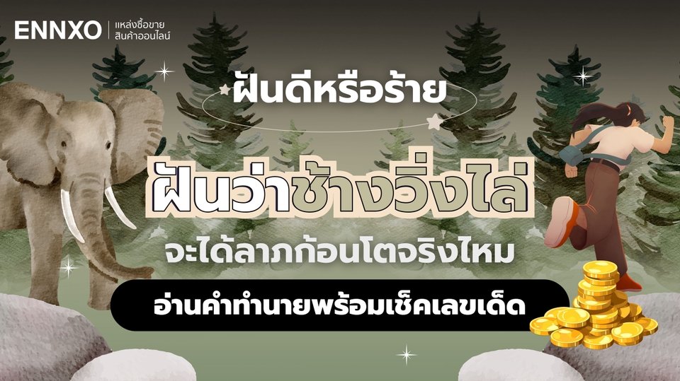 ฝันว่าช้างวิ่งไล่ ตีเป็นเลขอะไร อ่านคำทำนายฝันพร้อมเลขเด็ด
