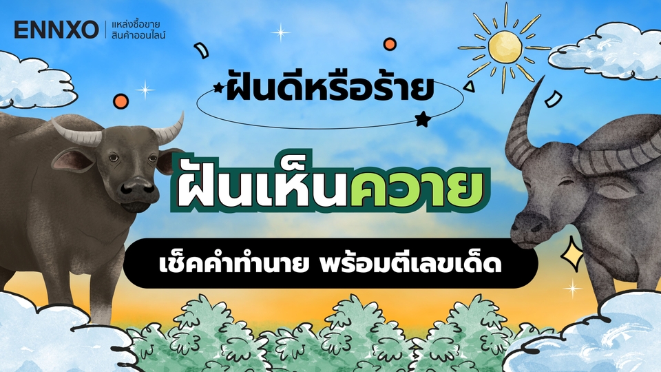 ฝันเห็นควาย เรื่องดี หรือร้าย อ่านคำทำนายฝัน ตีเลขเด็ดแม่นๆ 