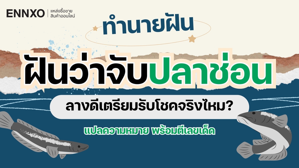 ฝันว่าจับปลาช่อน เห็นปลาช่อน แปลความหมาย และตีเป็นเลขเด็ด